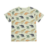 Minymo Dino Boys T-Shirt + Short Set AOP