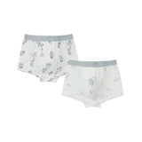 Nest Designs Boys Boxer Briefs Underwear (2Pack)