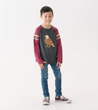 Hatley Boys Eagle Long Sleeve Raglan T-Shirt
