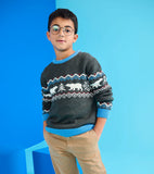 Hatley Boys Polar Winter Crew Neck Sweater