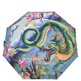 Anuschka Umbrellas