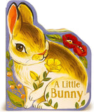 Raincoast Cute Animal Board Books