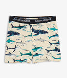 Little Blue House Toothy Sharks Boy’s Boxer