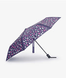 Little Blue House Rain Drops Adult Color Changing Umbrella